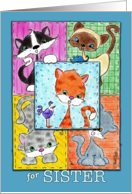 Happy Birthday for Sister Kitty Quilt Patches card