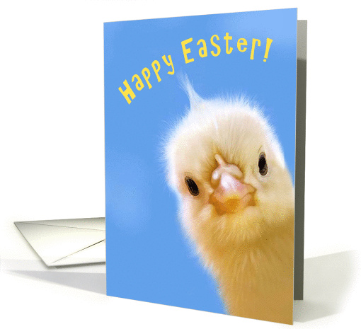 Happy Easter Chick card (918844)