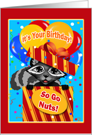 Raccoon in Gift Happy Birthday card