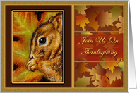 Autumn Treasures Squirrel Thanksgiving Invitations Cards