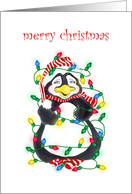 Merry Christmas Penguin Tangled In Christmas Light Christmas Card
