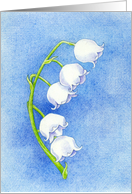 Lily of the Valley card
