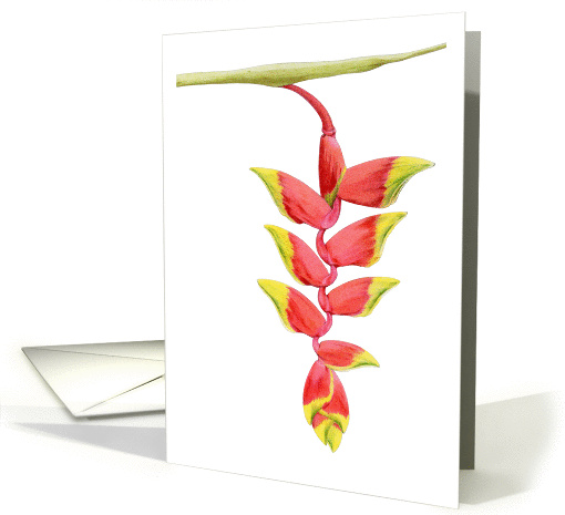 Heliconia Branch card (391176)