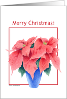 Poinsettia Merry Christmas! card