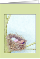 Bird’s nest card