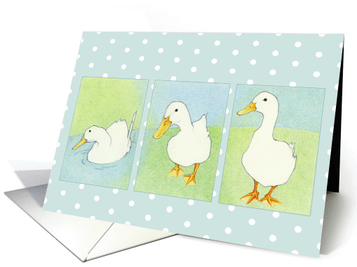 Three Ducks Dots card (94641)