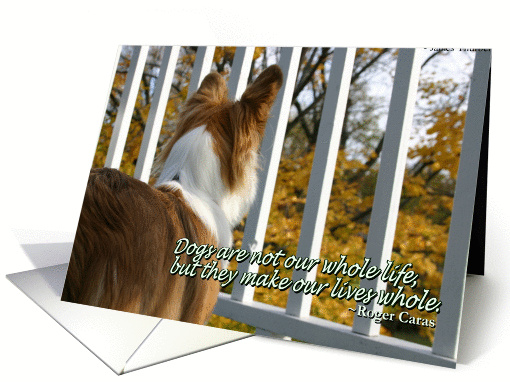 Canine Sympathy card (111572)