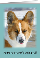 Get Well Corgi Card