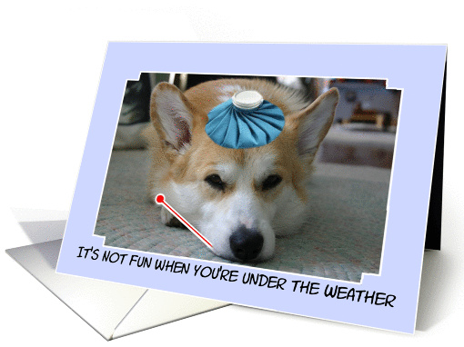 Get Well Corgi card (50731)