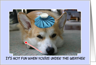 Get Well Corgi Card