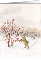 Winter Encounter - Blank card