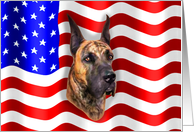 Great Dane Brindle Dog Patriot US Flag card