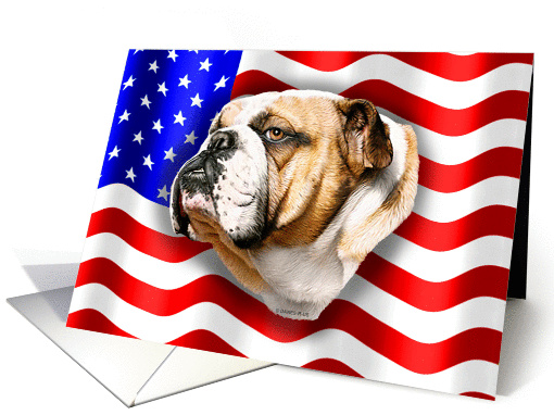 Bulldog Dog Patriot US Flag card (270331)
