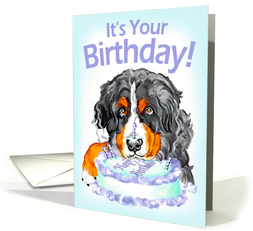 Bernese Mountain Dog Birthday Cake Face card (293584)