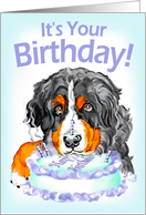 Bernese Mountain Dog Birthday Cake Face card