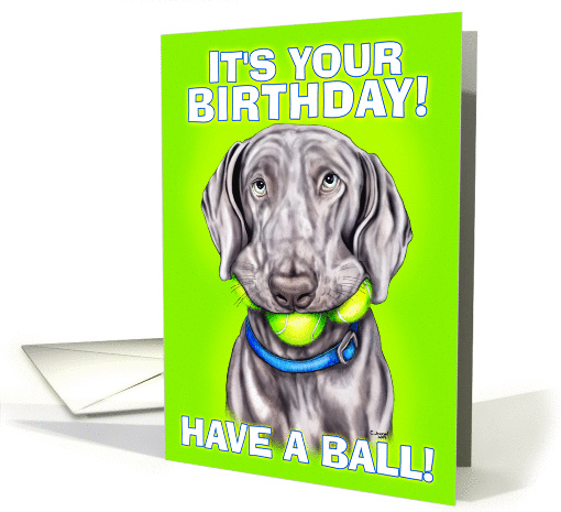 Weimaraner Dog Birthday Balls card (363247)