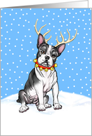 Boston Terrier Dog Christmas Boston Deer card