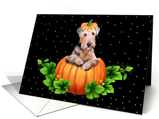 Airedale Terrier Dog Pumpkin Halloween card (92772)