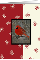 Cardinal Business Christmas Card