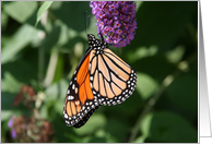 Monarch On A Butterfly Bush Blank Card