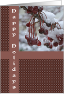 Snowy Berries Merry Christmas Card