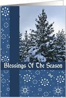 Snow Covered Trees Blessings Christmas Card