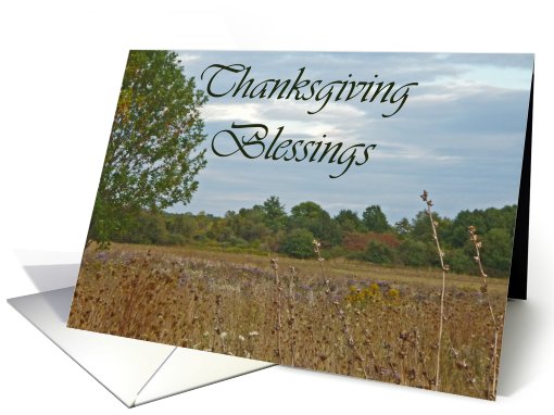 Fall Field Thanksgiving card (509354)