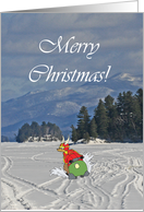 Snowmobiling Reindeer Christmas Card