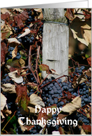 Fall Grapes Happy Thanksgiving Card