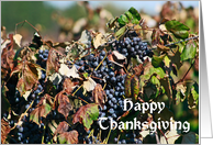 Autumn Grapes Happy Thanksgiving Card