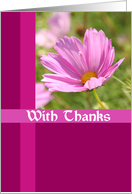 Pink Cosmos Thank You Card