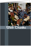 Vineyard Grapes Thank You Card