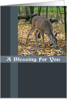 Autumn Deer Blessing Card