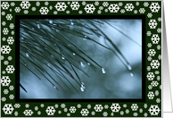 Pines And Snowflakes Christmas Card