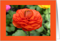 Irish Friendship Blessing-Orange Flower card