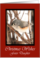 Foster Daughter Titmouse Christmas Wishes Card