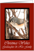 Goddaughter And Her Family Titmouse Christmas Wishes Card