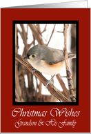 Grandson And His Family Titmouse Christmas Wishes Card