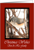 Son And His Family Titmouse Christmas Wishes Card