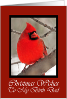 Birth Dad Cardinal Christmas Wishes Card
