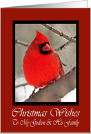 Godson And His Family Cardinal Christmas Wishes Card