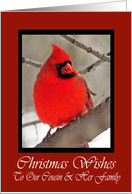 Our Cousin And Her Family Cardinal Christmas Wishes Card