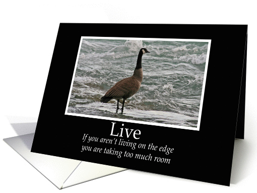 Live-Business Motivational Card (goose) card (86675)