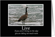 Live-Business Motivational Card (goose) card