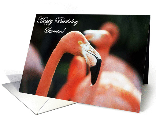 Happy Birthday Sweetie! card (211712)
