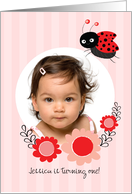 Little Lady Bug with Flowers 1st Birthday Photo card