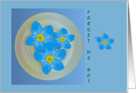 Many Thanks Forget Me Not Card