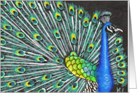 Mosaic BLANK INSIDE Peacock card