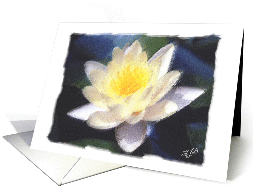 Water Lily-Congratulations card (68940)