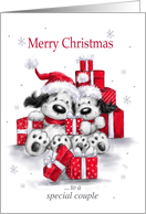 Christmas greeting to a special couple card